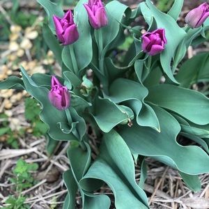 Meet your Posher, Sandi